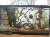 GartenaquariumP4140380.jpg
