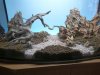P1020234(1).JPG