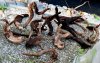 DSC_0674.JPG DSC_0674.JPG