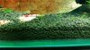 20150422_235719.jpg 20150422_235719.jpg