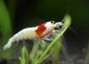 DSC_0773.JPG