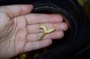 103_0007.JPG 103_0007.JPG