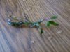 DSC_0878.JPG DSC_0878.JPG