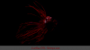 JustBee-PRL-Shrimps-Betta5.png