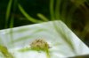 DSC_0115.JPG