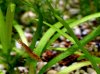 DSC_0021.JPG