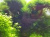 20150521_111217.jpg 20150521_111217.jpg
