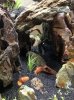 IMG_6443.JPG IMG_6443.JPG