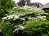 DSCN6993.JPG