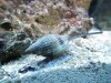 DSCF6814 - N.jpg
