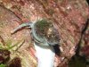 DSCF6968 - N.jpg DSCF6968 - N.jpg
