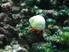 DSCF7386 -N.jpg DSCF7386 -N.jpg
