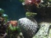 DSCF7265 - N.jpg