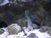 DSCF7753 - N.jpg DSCF7753 - N.jpg