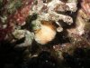 DSCF6985 - N.jpg DSCF6985 - N.jpg