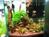 cubic40.jpg cubic40.jpg