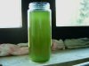 Chlorella1.JPG