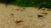 20150410_152928.jpg 20150410_152928.jpg