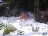 DSCF7973.jpg DSCF7973.jpg