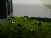DSCN7445.JPG