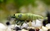 DSC_0537.JPG