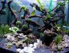 DSCN3546.JPG