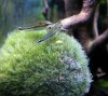 DSCN3528.JPG