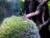 DSCN3529.JPG