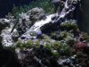 DSCF8233_F.jpg DSCF8233_F.jpg