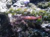 DSCF8237_F.jpg DSCF8237_F.jpg