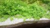 DSC_0069.JPG