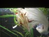 WOHNZIMMER - WIN_20150811_200326.JPG