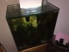 Aquarium 2.jpg