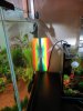 Regenbogen.JPG