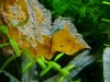 20151011_125941.jpg 20151011_125941.jpg