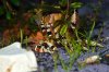 DSC_0759.JPG DSC_0759.JPG