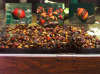 Rote Rennschnecke.png Rote Rennschnecke.png