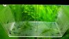 uploadfromtaptalk1451321048170.jpg uploadfromtaptalk1451321048170.jpg
