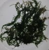ImageUploadedByTapatalk1451342537.865745.jpg ImageUploadedByTapatalk1451342537.865745.jpg