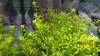 20160123_091657.jpg 20160123_091657.jpg