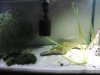 upload_2016-1-23_13-38-52.jpeg