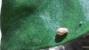 20160128_125554.jpg 20160128_125554.jpg