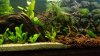 20160131_174600.jpg 20160131_174600.jpg