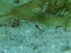 upload_2016-2-8_14-19-25.jpeg