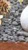 20160212_124052.jpg 20160212_124052.jpg
