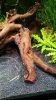 20160126_224158.jpg 20160126_224158.jpg