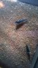 20160127_214935.jpg 20160127_214935.jpg