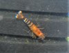 DSCN7828.JPG