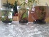 20160307_095637.jpg