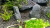 IMG-20160308-WA0002.jpg